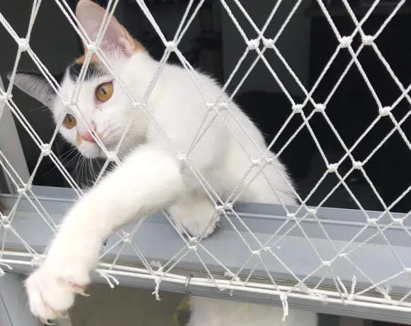 malla blanca para gatos y perros