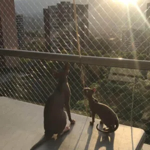 mallas protectoras de balcón para gatos