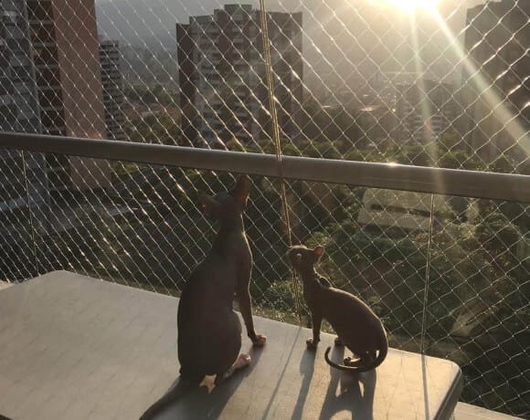 protective balcony nets for cats