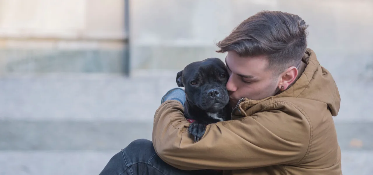 Reiki en Animales – Usando energía para ayudar a sanar