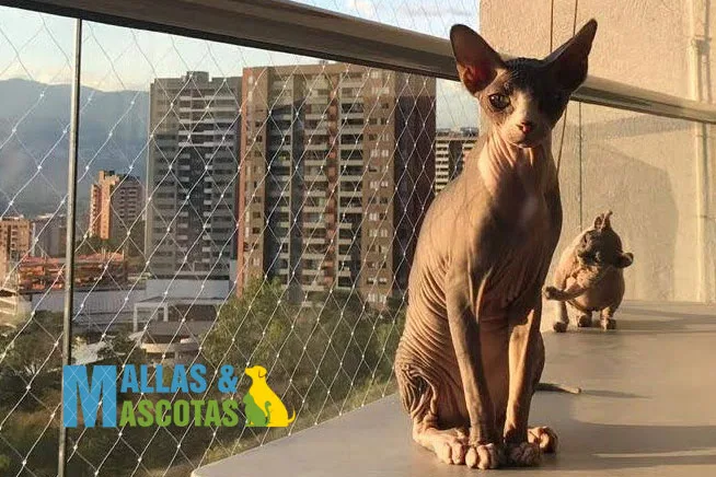 Ventajas de Instalar Mallas de Seguridad en Ventanas y Balcones - Protección para Tu Hogar 1