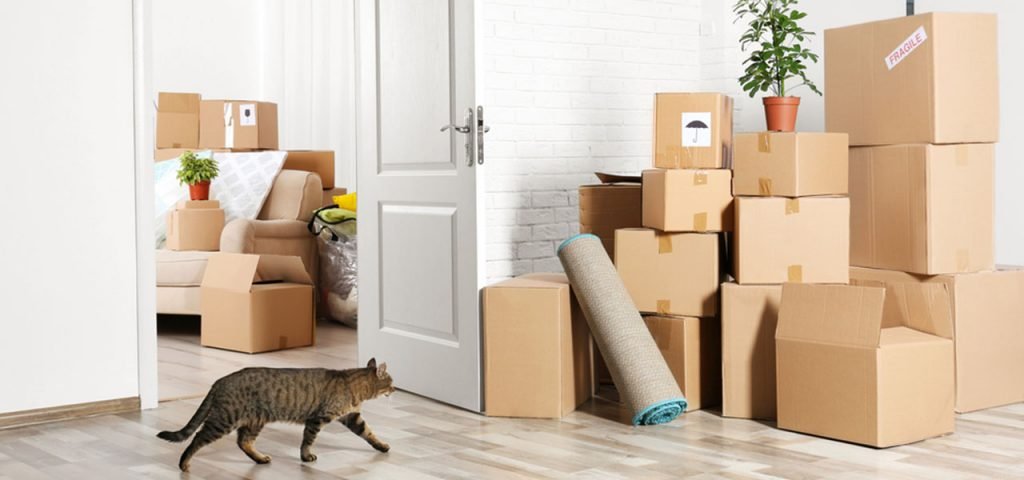 Cómo mudarse si tienes gato o perro