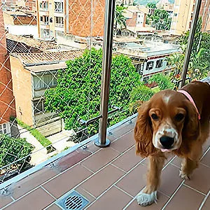 Malla de seguridad para perros