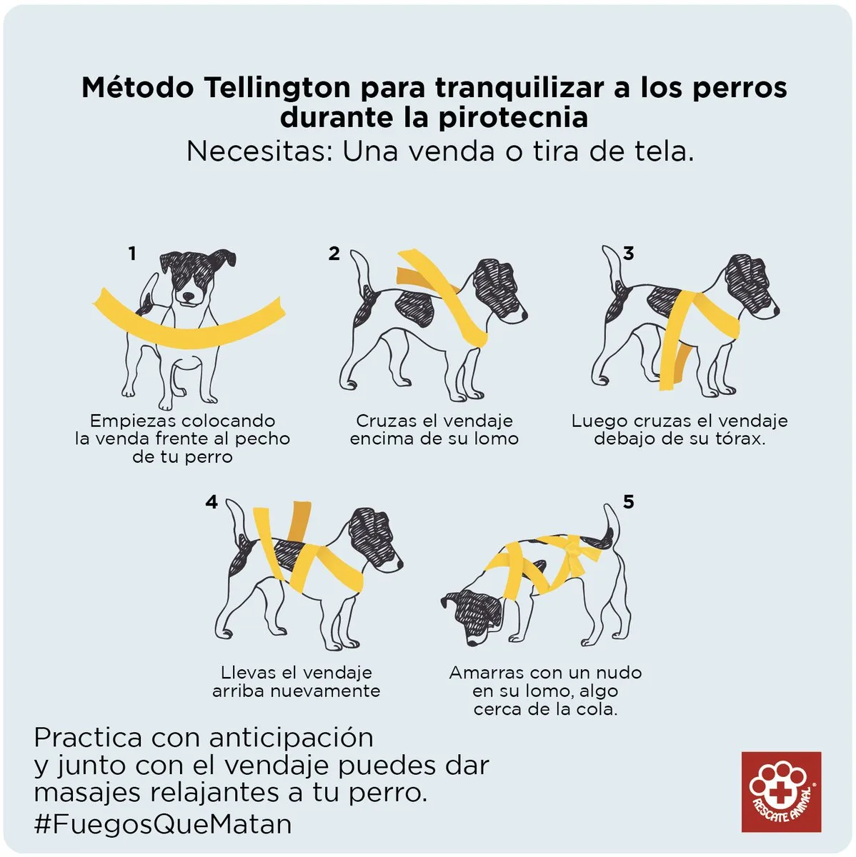 El método Tellington Ttouch para calmar tu perro 1