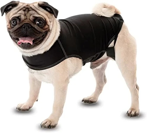 El método Tellington Ttouch para calmar tu perro 2