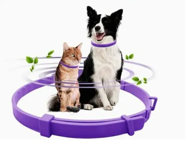 Medicamentos para que la pólvora no afecte a tu mascota 1