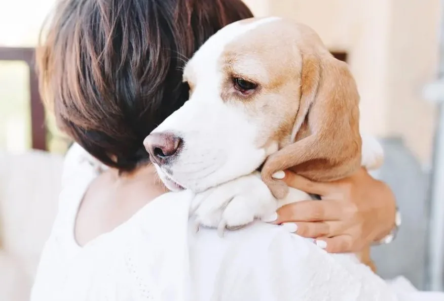 Método Tellington Ttouch