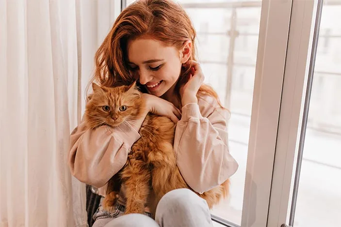 ¿Cuáles son las personalidades de los gatos? 3